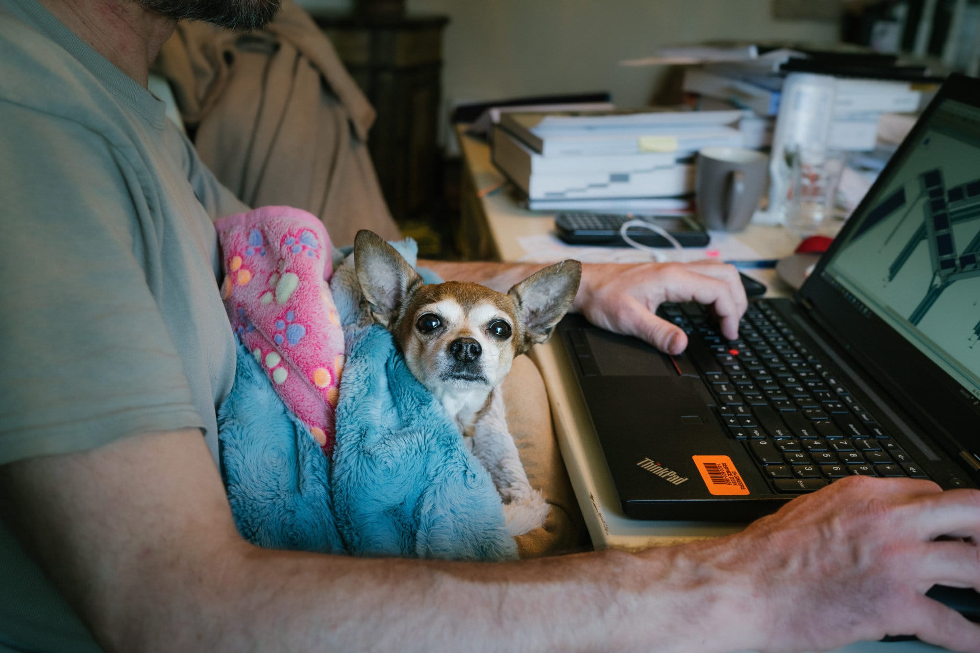 man and dog work from home