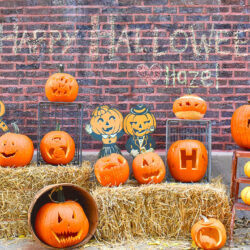 Hazel's pumpkin patch for Halloween in Ravenswood