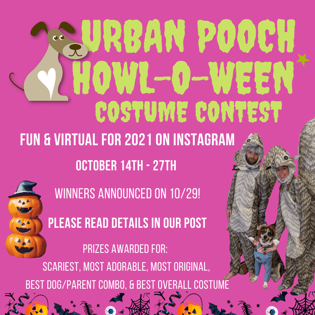 Urban Pooch Halloween Costume Contest flyer