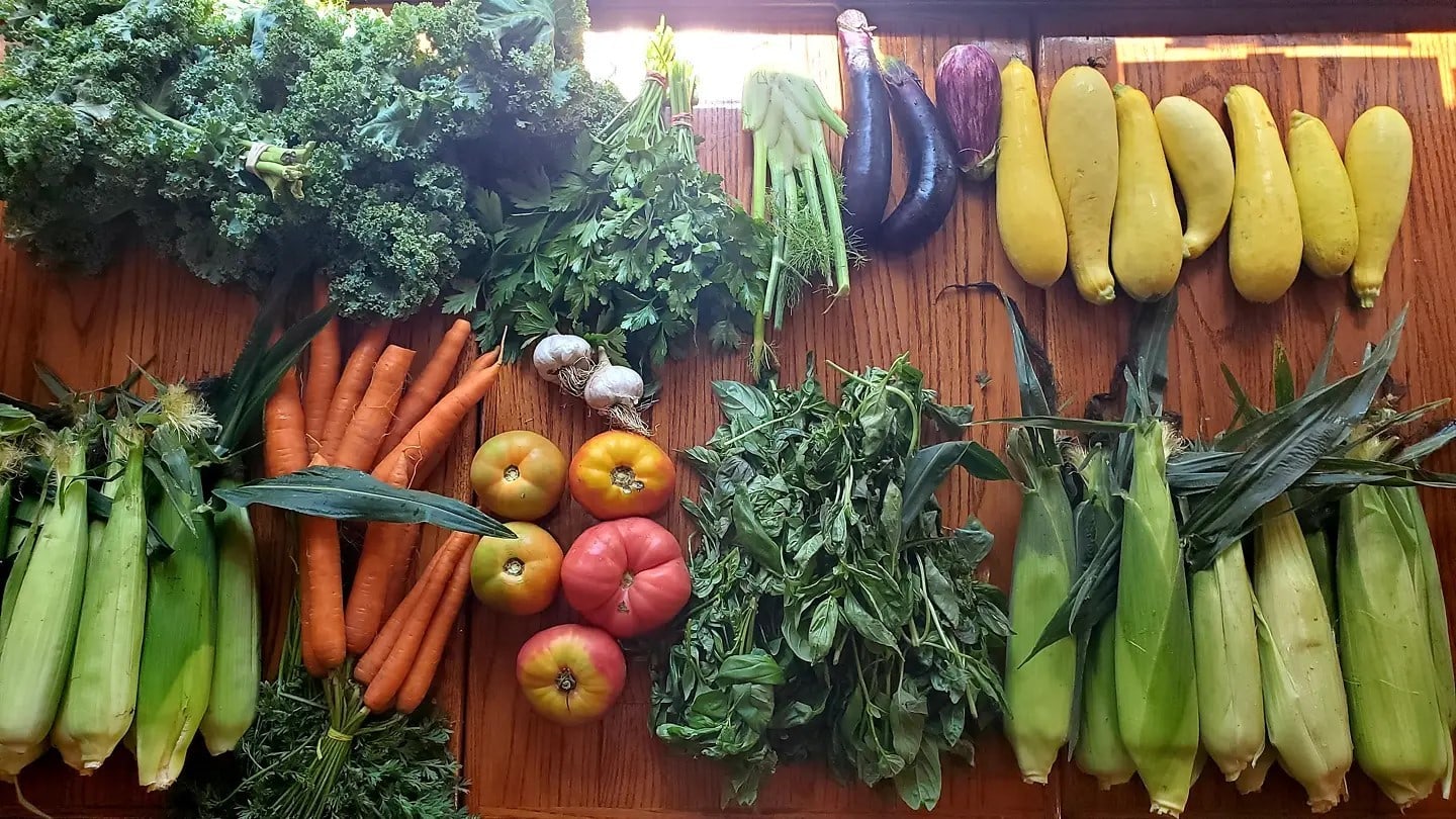 Fresh, locally sourced produce goes into every dish at Spoken Café