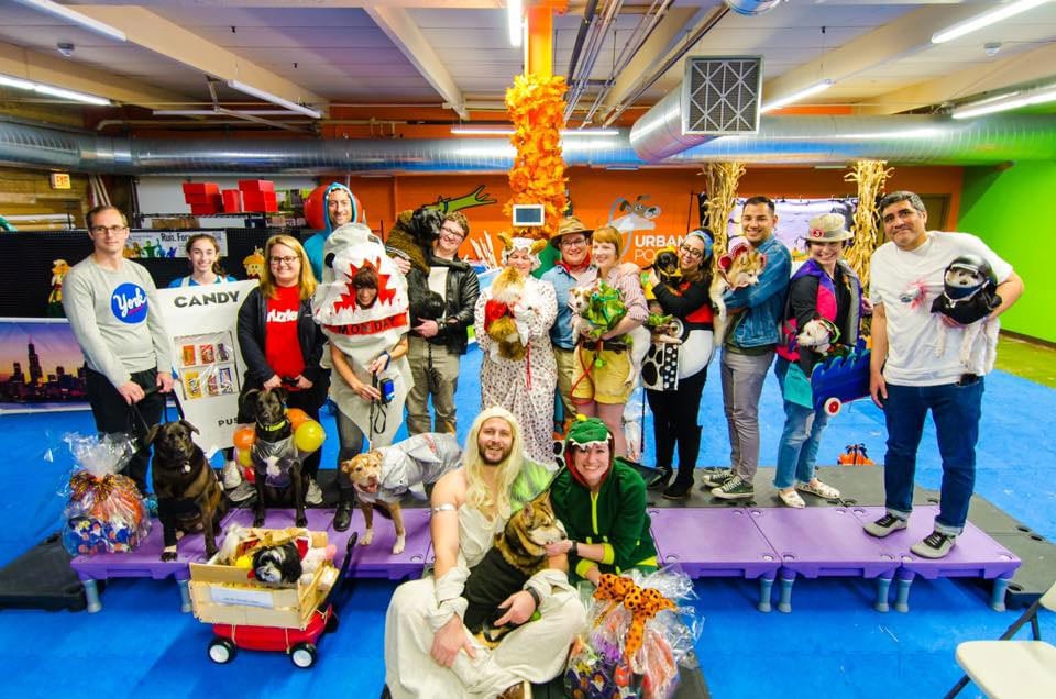 A Halloween party at Urban Pooch in Ravenswood