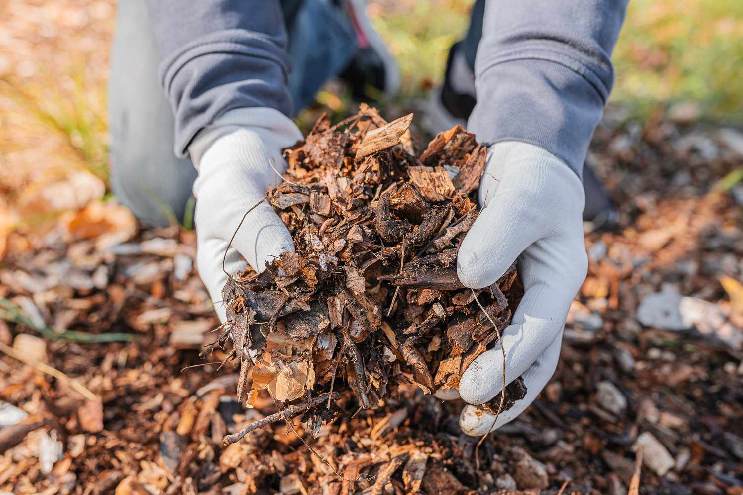 Mulch Madness Returns to Ravenswood