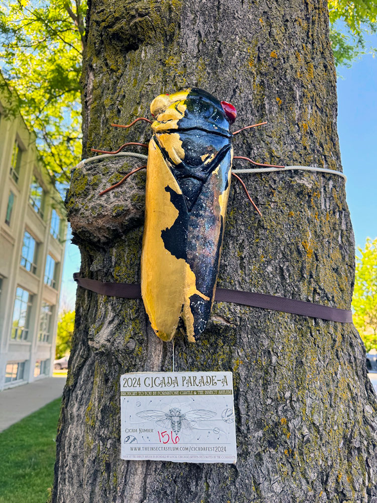 Cicada Parade-a Comes to Ravenswood | Summer Public Art Exhibit
