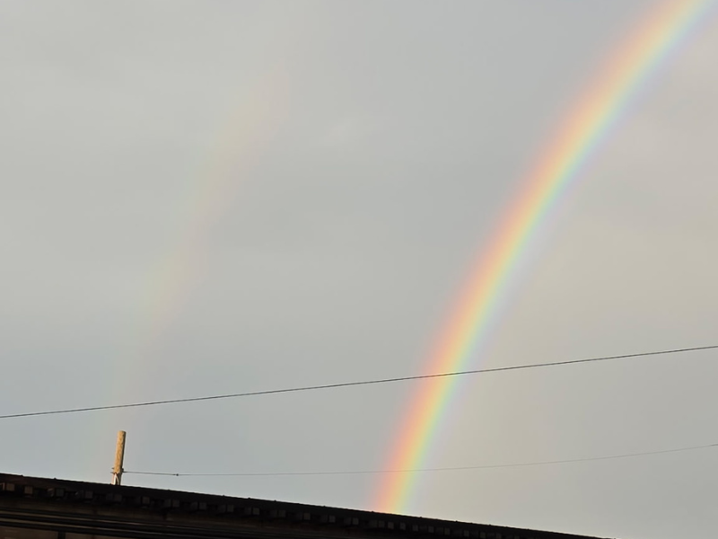 Celebrate Pride Month in Ravenswood