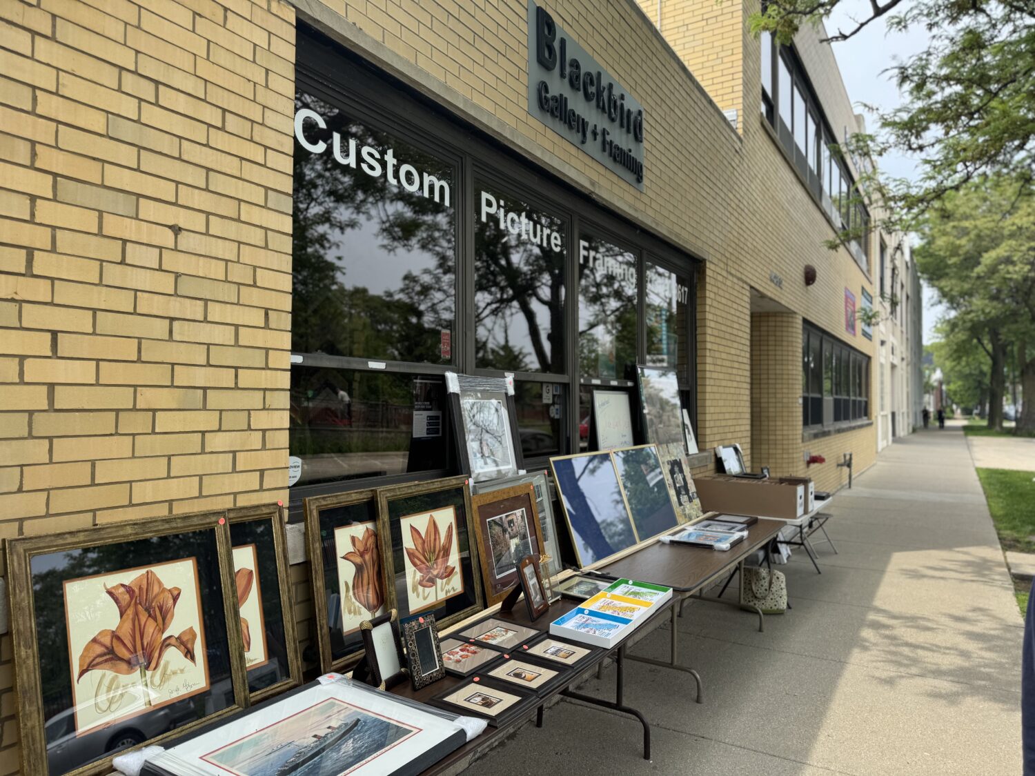 Frames outside of Blackbird Gallery & Framing for the 2025 Sidewalk Sale 
