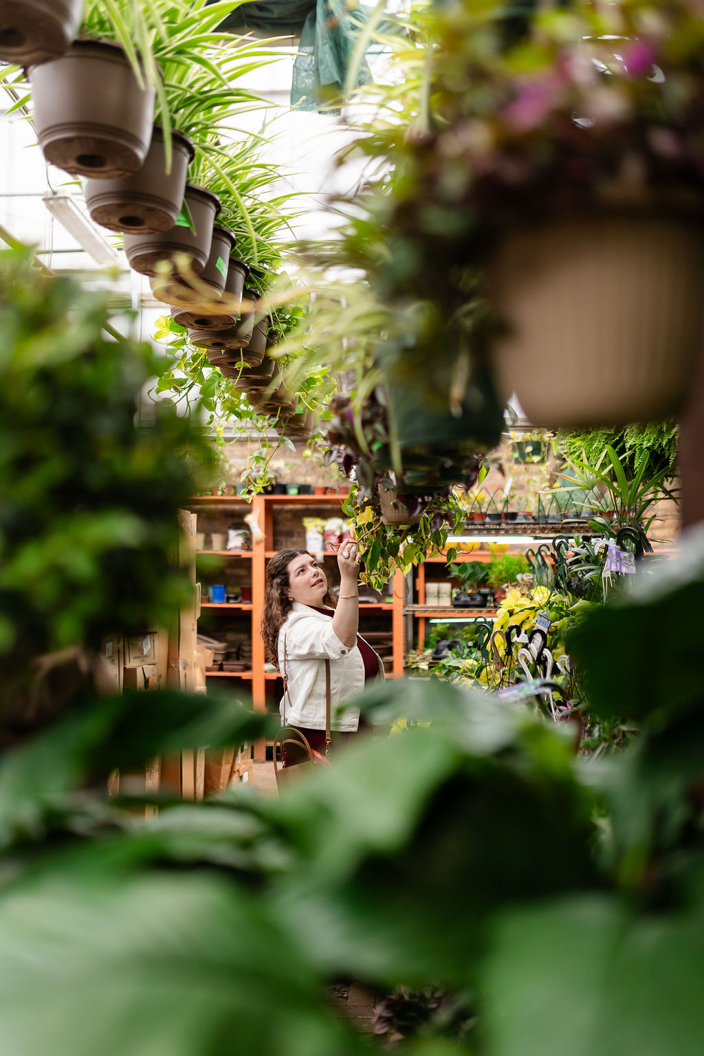 Lindsay peruses plants in the garden section of a home store